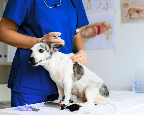 NUESTRO HOSPITAL (3)