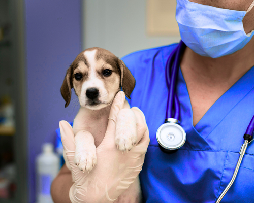 NUESTRO HOSPITAL (4)