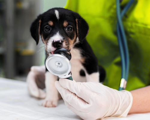 NUESTRO HOSPITAL (5)