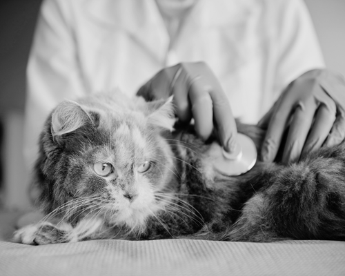 NUESTRO HOSPITAL (8)