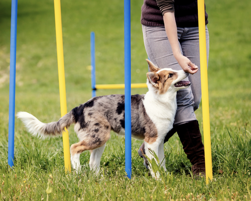 amici - imagenes (18)